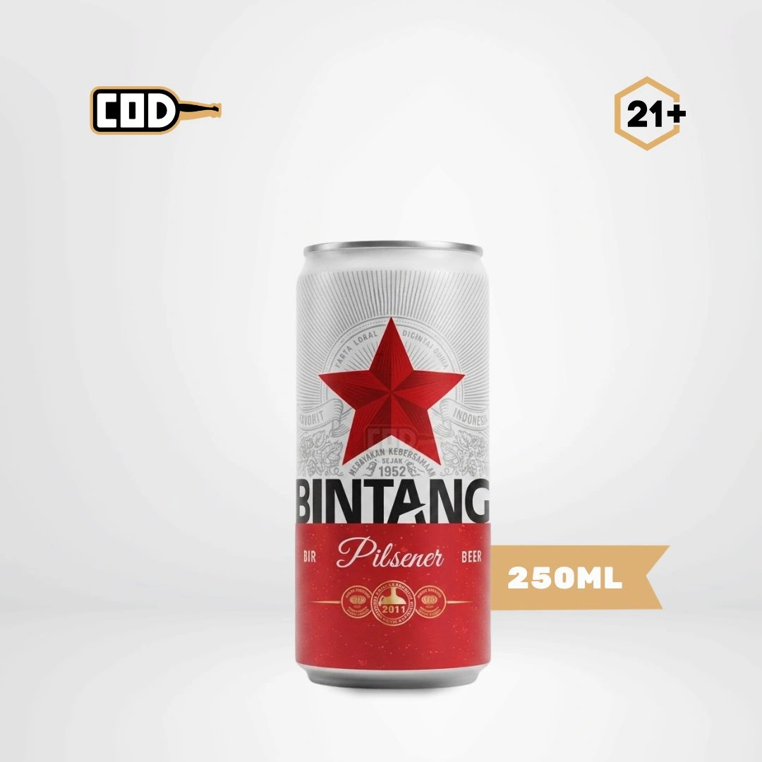Beer Bintang Can 320ml