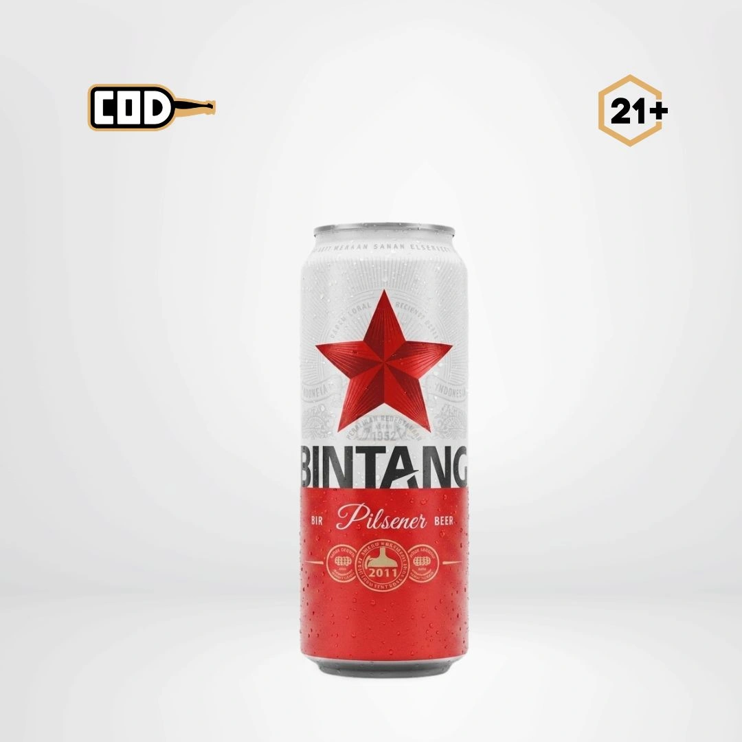 Beer Bintang Can 490ml